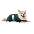 kombinezon-pet-fashion-den-dlya-sobak-sm-1.jpg