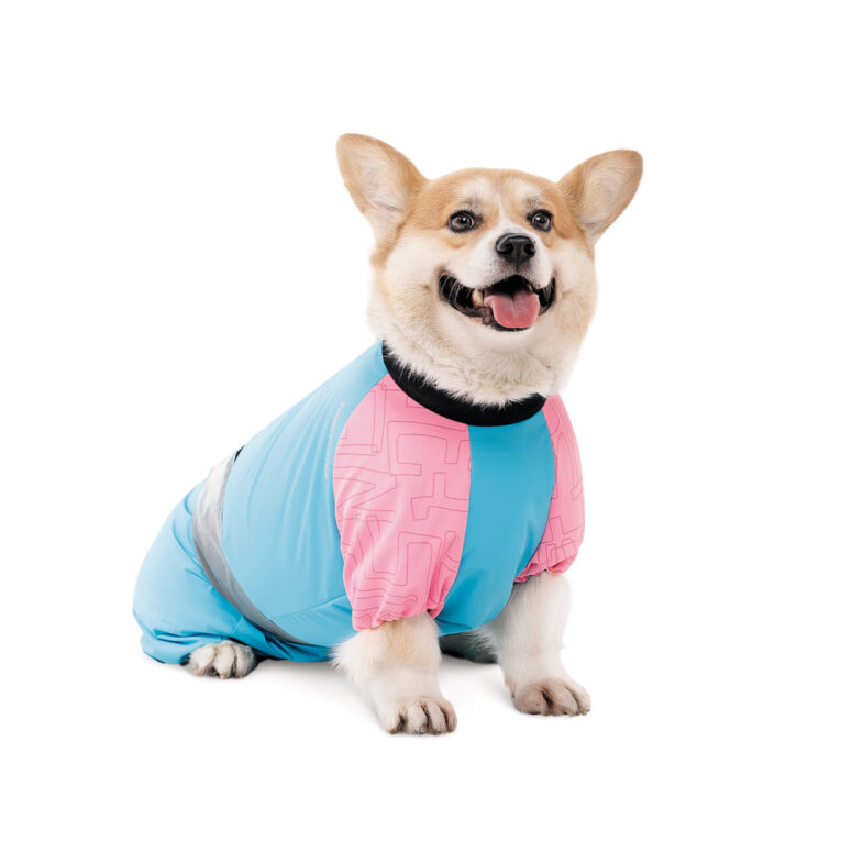kombinezon-pet-fashion-milly-divchinka-dlya-sobak-m-taksa-1.jpg