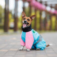kombinezon-pet-fashion-milly-divchinka-dlya-sobak-s2-3.jpg