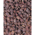 korm-sukhij-dlya-kotiv-carnilove-true-fresh-cat-turkey-z-indichkoyu-48-kg-2.jpg