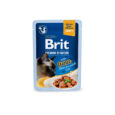 korm-vologij-brit-premium-delicate-fillets-in-gravy-tuna-dlya-kotiv-file-v-sousi-tunec-85-g.jpg