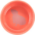 miska-trixie-dlya-grizuniv-z-printom-morskoyi-svinki-keramichna-250-ml-11-sm-7.jpg