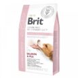 sukhij-korm-brit-gf-vetdiets-dog-hypoallergenic-dlya-sobak-pri-kharchovij-alergiyi-z-lososem-gorokhom-i-grechkoyu-2-kg.jpg