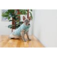 svetr-pet-fashion-tim-dlya-kota-rozmir-m-2.jpg