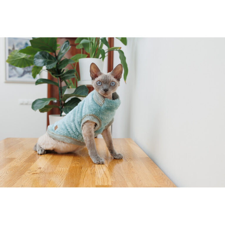 svetr-pet-fashion-tim-dlya-kota-rozmir-m-2.jpg