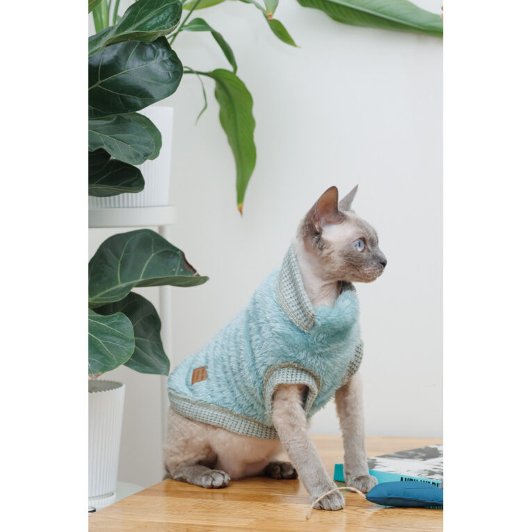 svetr-pet-fashion-tim-dlya-kota-rozmir-m-3.jpg