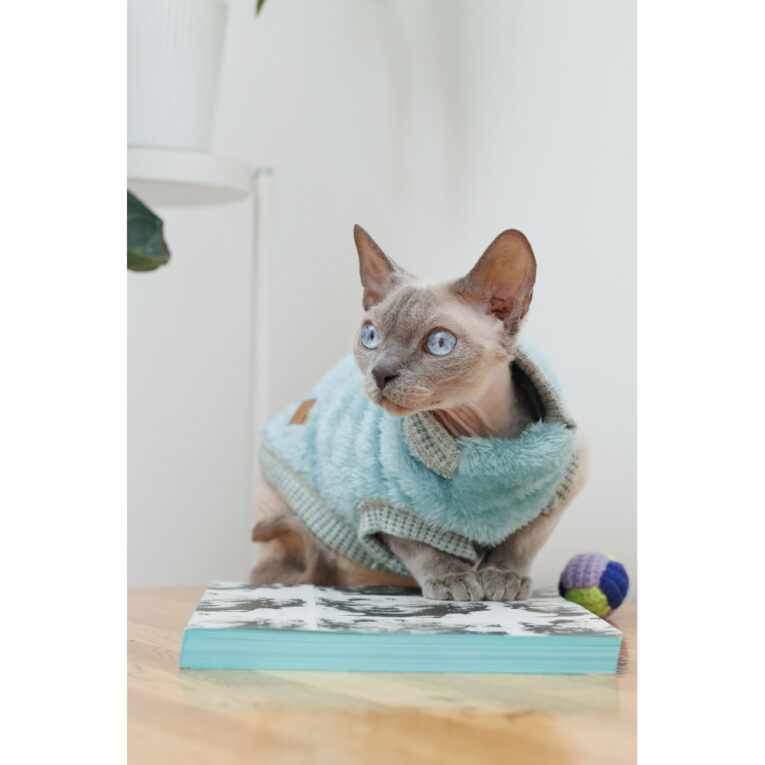 svetr-pet-fashion-tim-dlya-kota-rozmir-m-5.jpg