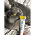 vitaminna-pasta-gimcat-expert-line-ut-balance-dlya-kotiv-50-g-4.jpg