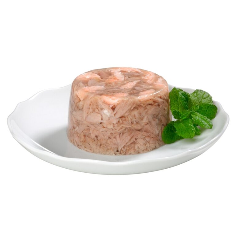 vologij-korm-gimcat-shiny-cat-dlya-kotiv-z-tuncem-ta-lososem-70-g-1.jpg